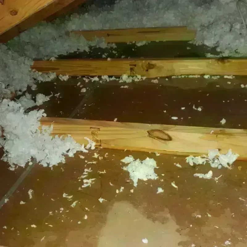 Attic Water Damage in East Hazel Crest, IL